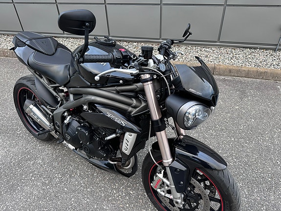 Triumph Speed Triple S + PEN + REMUS ++ 4 of 30