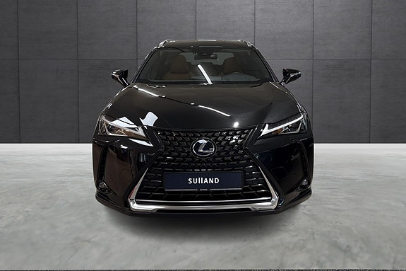 Lexus UX300e 8 of 20
