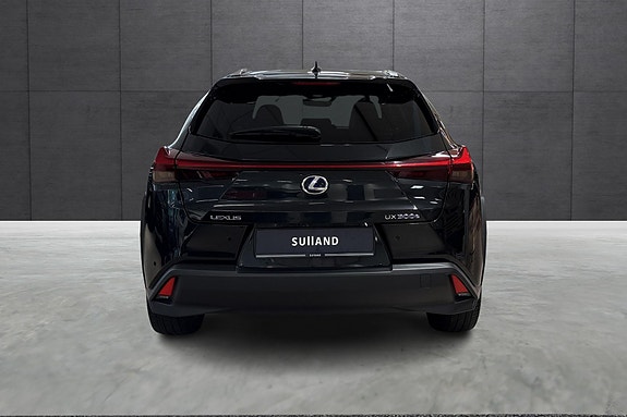 Lexus UX300e 4 of 20