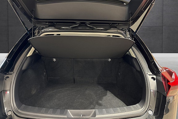 Lexus UX300e 18 of 20