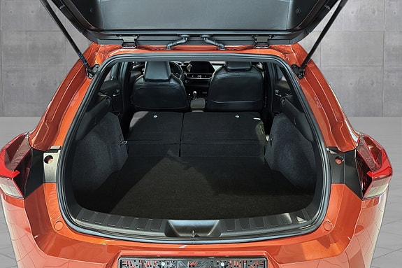 Lexus UX300e 19 of 21