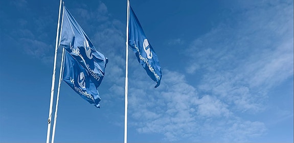 Bilde 1 av 2 i jobbannonse-galleriet