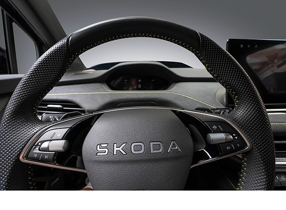 Skoda Enyaq RS 12 of 25