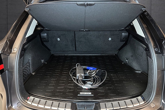 Lexus NX450h 20 of 20