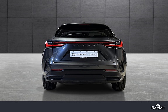 Lexus NX450h 4 of 20