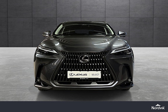 Lexus NX450h 8 of 20