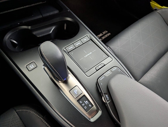 Lexus UX300e 19 of 29