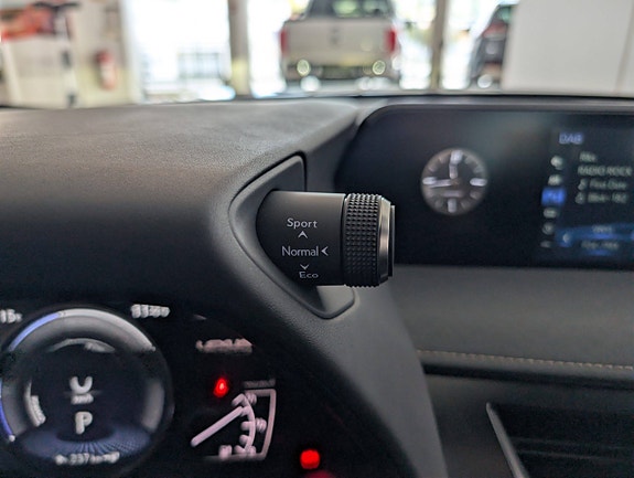 Lexus UX300e 22 of 29
