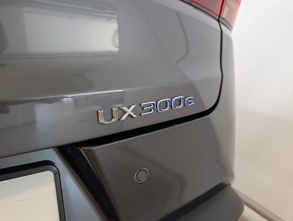 Lexus UX300e 6 of 29