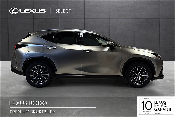 Lexus NX450h 6 of 19