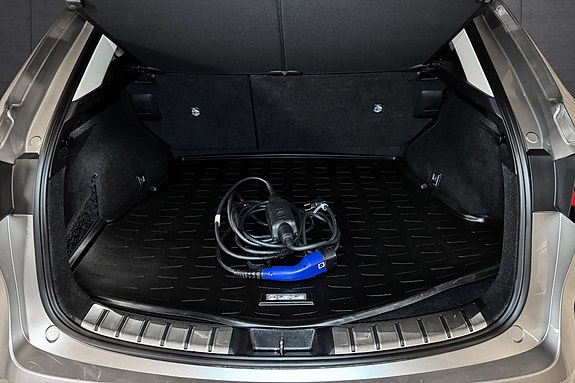 Lexus NX450h 19 of 19