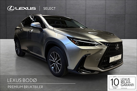 Lexus NX450h 7 of 19