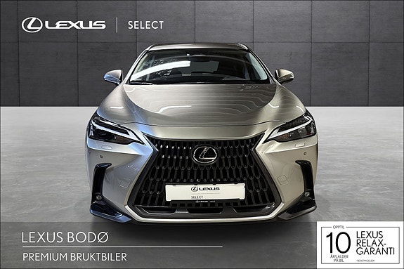 Lexus NX450h 8 of 19