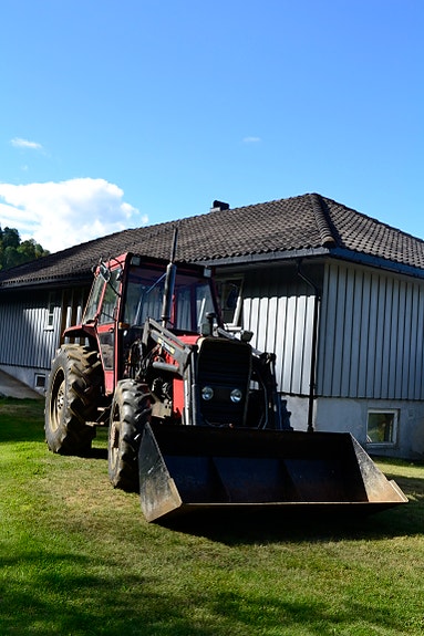 Massey Ferguson 265 5 of 13
