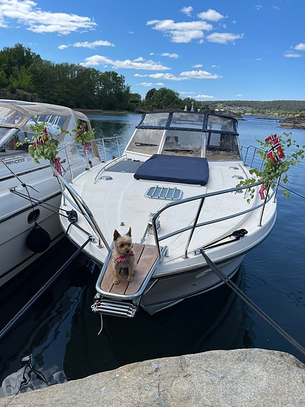 Pen velholdt Princess riviera 36 med feil, selges derfor til redusert pris. 11 of 30