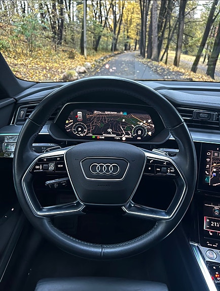 Audi e-tron 9 of 22