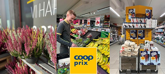 Bilde 1 av 1 i jobbannonse-galleriet