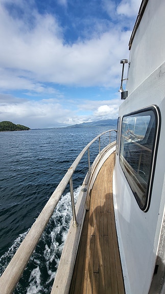 Hiptimco 42 Trawler 2 of 13