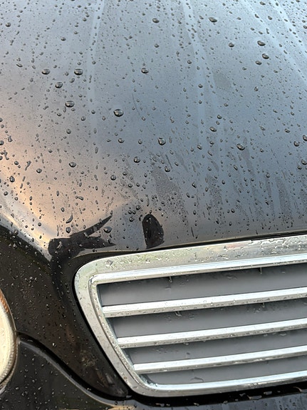 Mercedes-Benz C220 d 22 of 22
