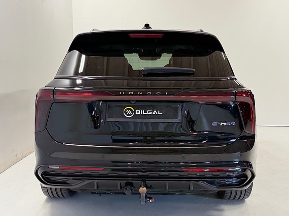 Hongqi E-HS9 13 of 29