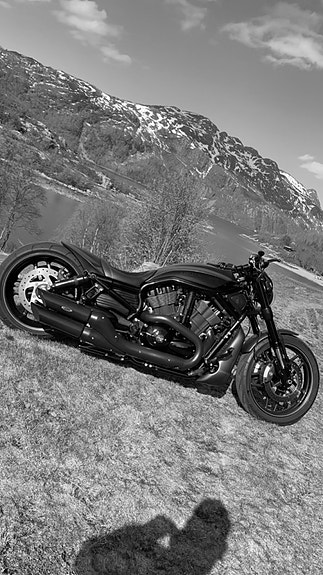 Harley-Davidson NIGHT ROD SPECIAL ED 5 of 9