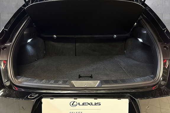 Lexus UX250h 21 of 22