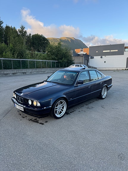BMW 525i 6 of 12