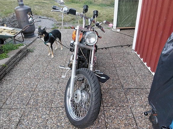 Harley-Davidson XL 883 Sportster 6 of 6