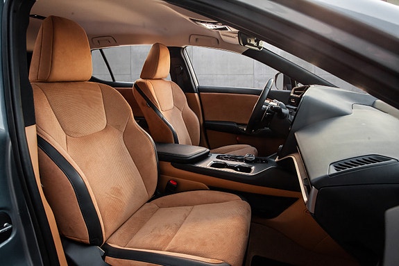 Lexus RZ450e 16 of 20