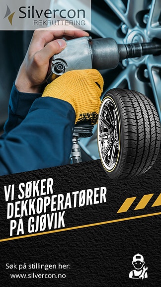 Bilde 1 av 1 i jobbannonse-galleriet
