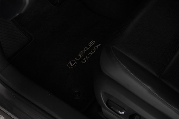 Lexus UX300e 19 of 28