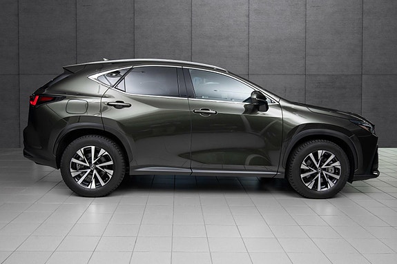 Lexus NX450h 6 of 19