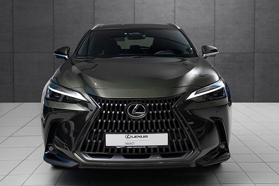 Lexus NX450h 8 of 19