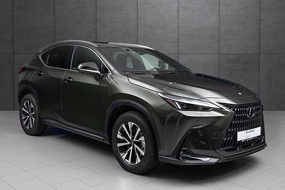Lexus NX450h 7 of 19