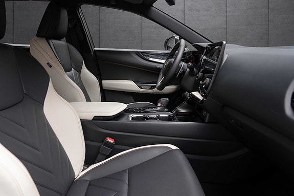 Lexus NX450h 17 of 19
