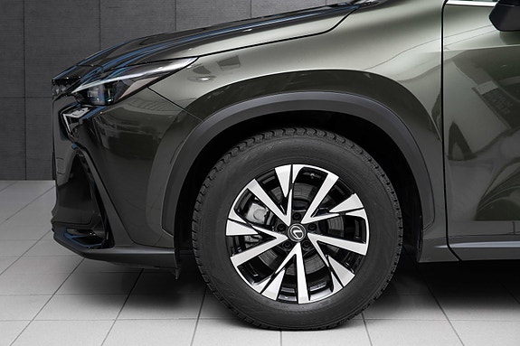 Lexus NX450h 19 of 19