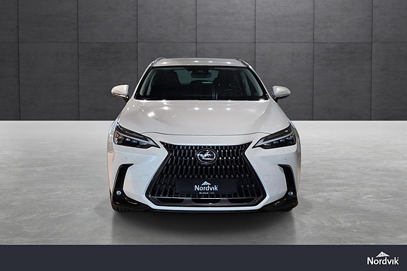 Lexus NX450h 8 of 22