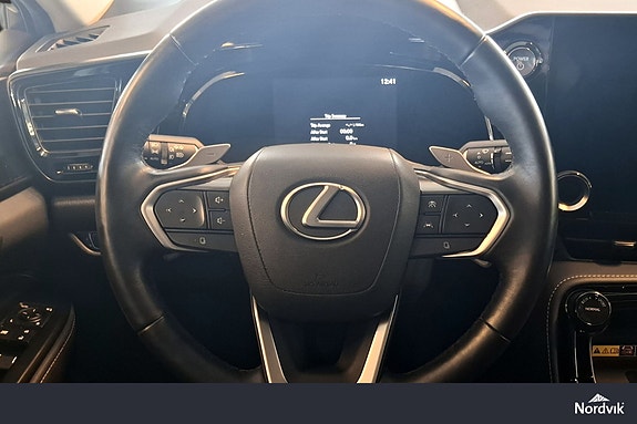 Lexus NX450h 14 of 22