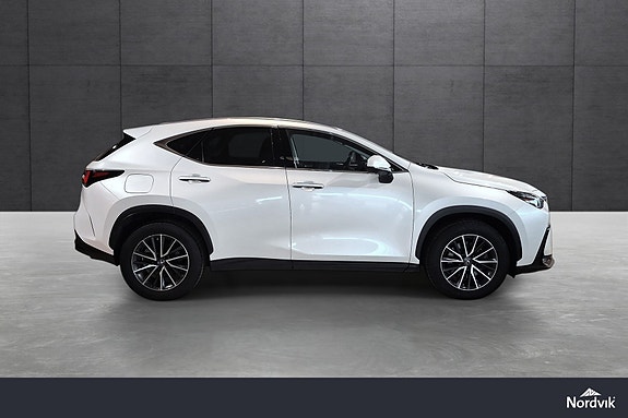 Lexus NX450h 6 of 22