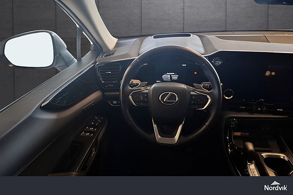 Lexus NX450h 13 of 22
