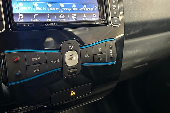 Nissan Leaf 15 of 30