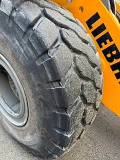 Liebherr L 550 XPower 19 of 20