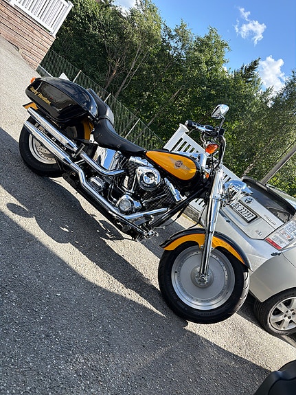 Harley-Davidson FLSTF Fat Boy 5 of 9