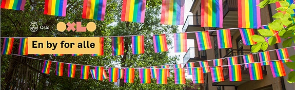 Bilde 3 av 5 i jobbannonse-galleriet