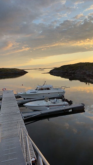 Halco 26 med Volvo Penta AD41PA - Nylig stor service - Romslig bruksbåt 2 of 13