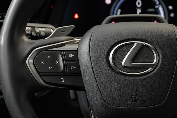 Lexus RZ450e 28 of 30