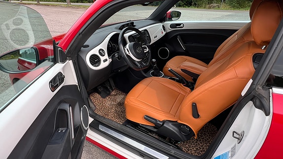 Volkswagen Beetle 19 of 30