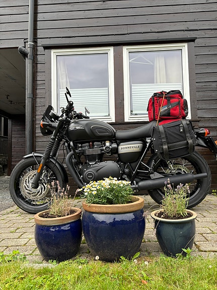 Triumph Bonneville T120 Black Gold Line 7 of 30