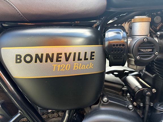Triumph Bonneville T120 Black Gold Line 17 of 30