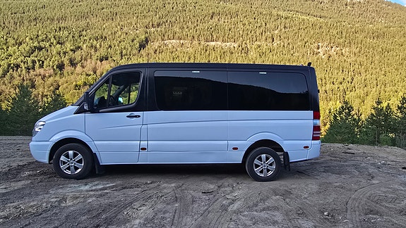 Mercedes-Benz Sprinter 316 7 of 30